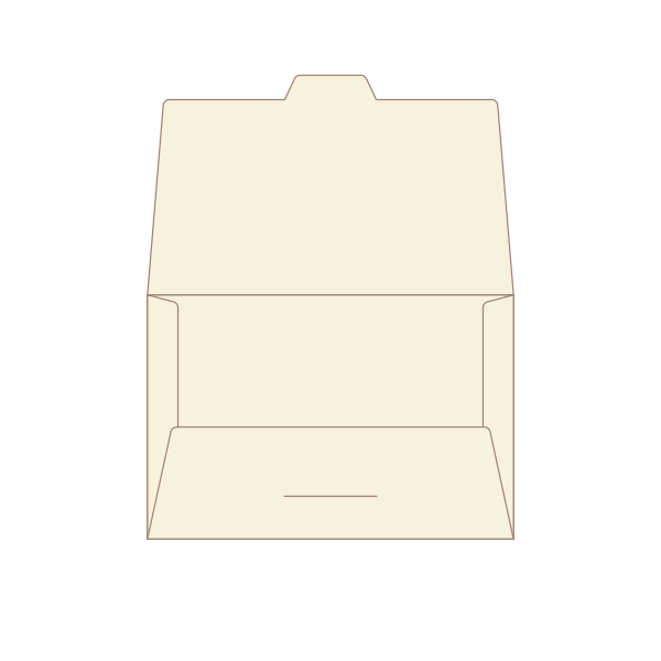 Custom Flap Envelope open
